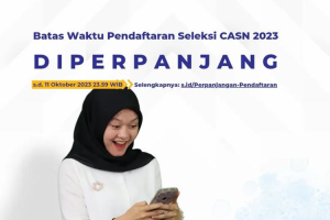 Besok Terakhir Pendaftaran CPNS dan PPPK , Segera Daftar
