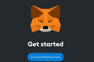 Cara Menambah Jaringan Polygon di Metamask dengan Mudah