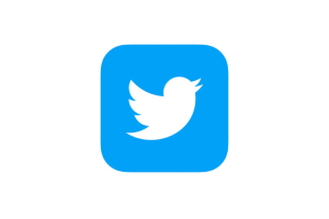 Good Bye Twitter, Terbang Tinggi Burung Biru Kecil