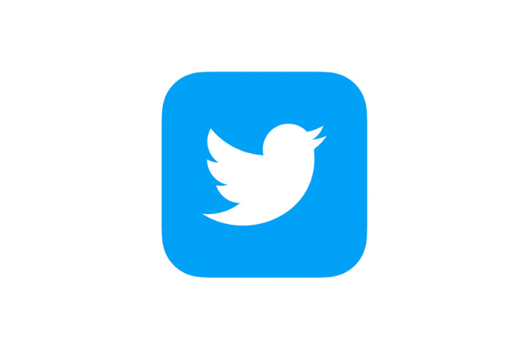 Good Bye Twitter, Terbang Tinggi Burung Biru Kecil