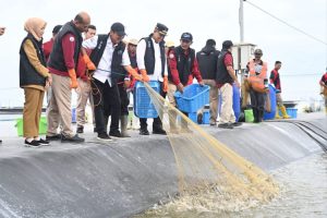 KKP Keluarkan Juknis Baru untuk Menunjang Akses KUR Sektor Kelautan dan Perikanan
