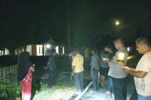 Sat Lantas Polres Simeulue Tangani Laka Tunggal Akibat Tabrak Kerbau