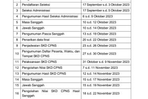 Surat dari BKN Ini Jadwal Pelaksanaan Pendaftaran CPNS Tahun 2023