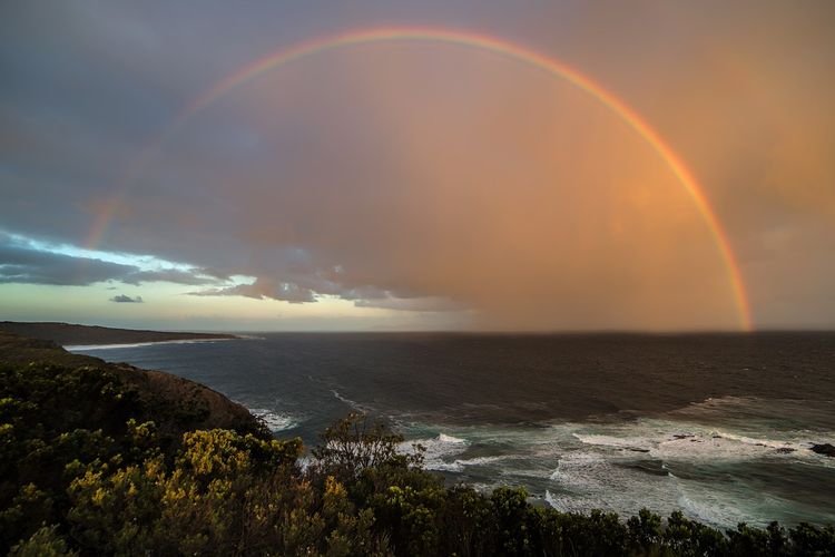 Beberapa Tips Menghasilkan Foto yang Berkualitas