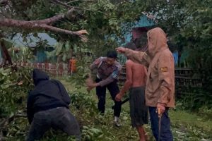Kapolres Simeulue Terjun Langsung Evakuasi Pohon Tumbang