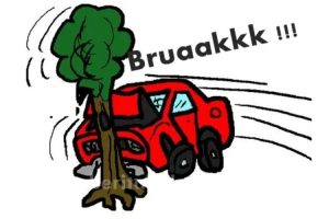 Toyota Avanza Tabrak Pohon di Aceh, 1 Orang Meninggal Dunia, 2 Luka-luka