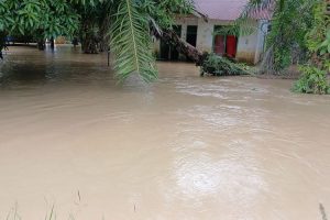 Lima Kecamatan di Aceh Timur Dilanda Banjir
