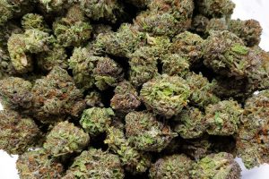 Putra Warga Aceh Timur Dituntut Mati di Medan Gegara Bawa 135 Kg Ganja