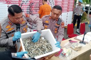 1 Kurir dan 6 Kg Sabu Berhasil di Amankan Satresnarkoba Polres Aceh Utara, Berkat  Informasi Jum’at Curhat