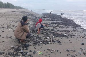 Tumpahan Batu Bara Cemari Perairan Aceh Barat