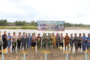 Puncak Penanaman Mangrove Nasional, TNI dan Polisi Di Aceh Utara Tanam 3000 Manggrove