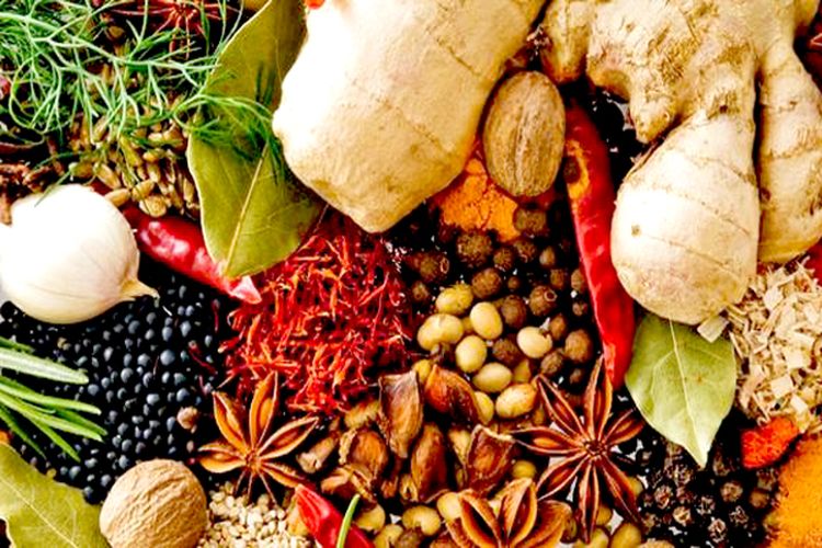 Ini Dia Jenis Rempah Aceh pada Zaman Dulu