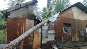 Baitul Mal Lhokseumawe Gerak Cepat, Atasi Rumah Tertimpa Pohon Kelapa di Ujong Blang