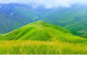 Serpihan Surga di Blang Raweu Pidie Jaya Baru Saja Ditemukan Pejalan Kaki