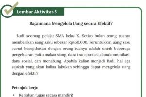 Kunci Jawaban IPS Kelas 10 Halaman 164 Lembar Aktivitas 3 Kurikulum Merdeka