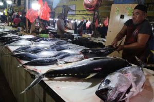 Lima Manfaat Makan Ikan Laut Bagi Kesehatan Tubuh Berdasarkan Hasil Riset