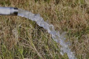 Cara Mencari Sumber Air Tanah untuk Sumur Secara Tradisional, Orang Aceh Tempo Dulu Lakukan Ini