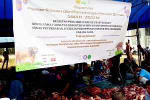 Tanjung Selamat Sembelih 23 Ekor Hewan Kurban