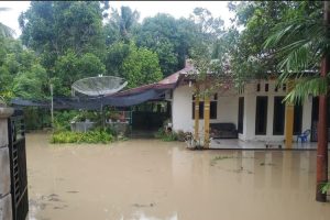 BREAKING NEWS – 21 Desa di Bireuen Terendam Banjir, Ratusan Rumah dan Ribuan Jiwa Terdampak