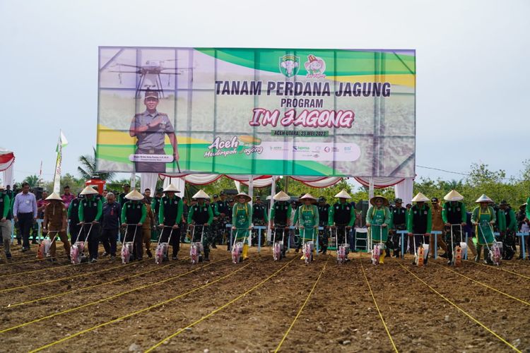 Pangdam Iskandar Muda Tanam Perdana Program I’IM Jagong Secara Serentak di  Seluruh Aceh
