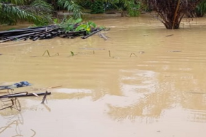Hingga Hari Ini Kawasan  Aceh Barat Masih Dilanda Banjir, ketinggian Air Berkisar 20-50 CM
