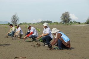 Demi Mengurangi Emisi Carbon, UKM PA-Leuser USK dan PT. PEMA Melakukan Aksi Penanaman 1000 Mangrove.