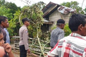BREAKING NEWS: Puting Beliung Hancurkan 15 Rumah, Satu Masjid dan Warung di Cot Girek
