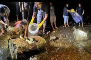 Terungkap, Ini Hasil Tes DNA Mayat Tercor Semen dalam Drum di Aceh Besar