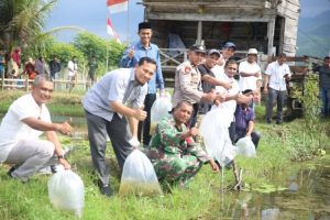 Karang Taruna Gampong Ulee Tuy Kembangkan Budidaya Ikan Nila, Pemkab Aceh Besar Lepas 10 Ribu Bibit Perdana