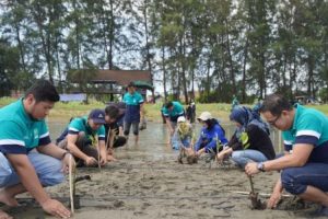Peringati Hari Bumi Tahun 2023, PLN Tanam 1000 Mangrove di Pesisir Pantai Khaju