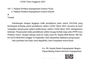 Breaking News, BKN Perpanjang Pendaftaran PPPK Malam Ini