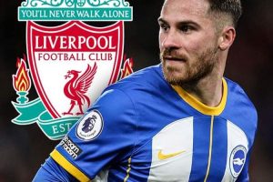 Liverpool Memburu Tanda Tangan Gelandang Andalan Brigton