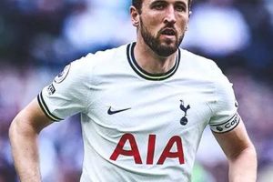 Harry Kane Target Utama Real Madrid Untuk Menggantikan Karim Benzema