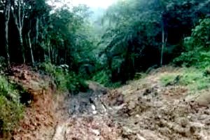 Jalan Kampung Sekumur Rusak Parah, Kenderaan Perkebunan Sawit Diminta Berhenti Beroperasi