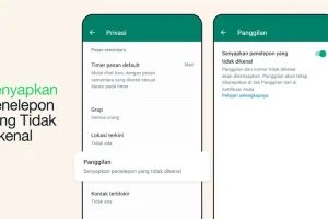 Cara Bisukan Telepon dari Nomor Gak Dikenal di WhatsApp, Sudah Bisa di Indonesia