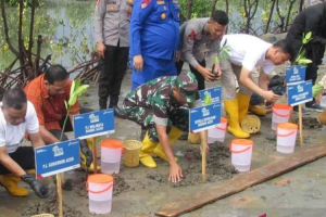 Pertamina Tanam 10 Ribu Bibit Mangrove di Aceh