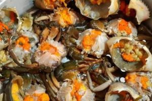Manfaat Telur Kepiting untuk Kesehatan Tubuh Manusia