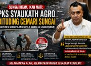 Sungai Hitam, Ikan Mati: PKS Syaukath Agro Dituding Cemari Sungai. Kaperwil Mitrapol Minta Polri Segera Uji Laboratorium